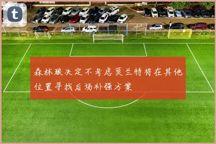 森林狼决定不考虑莫兰特将在其他位置寻找后场补强方案
